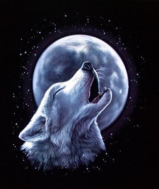 lupo e luna