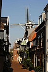 2017_3_Paesi Bassi_5_Haarlem_010_R.jpg